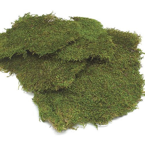 Moss Sheet
