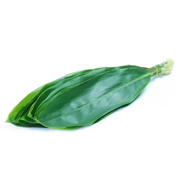 TI Leaves